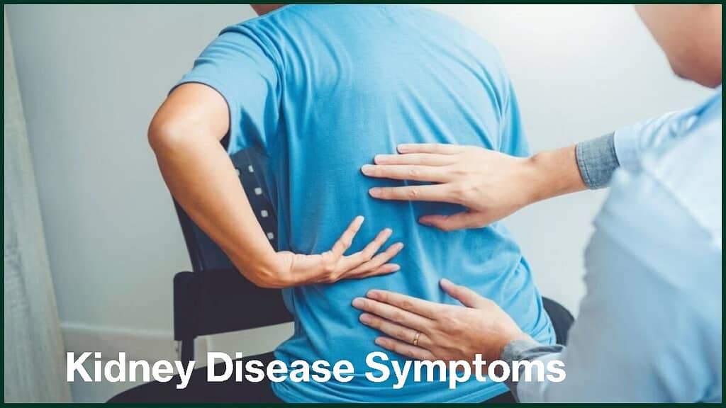 kidney-disease-symptoms-and-treatment-tottho-bangla