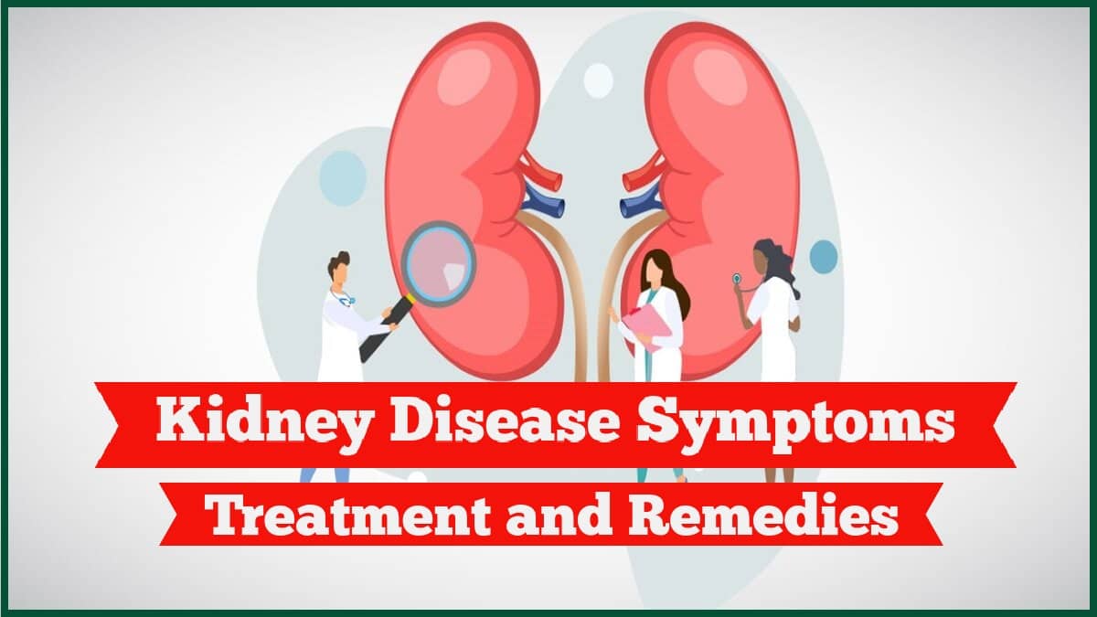 Kidney Disease Symptoms, Treatment, and Remedies